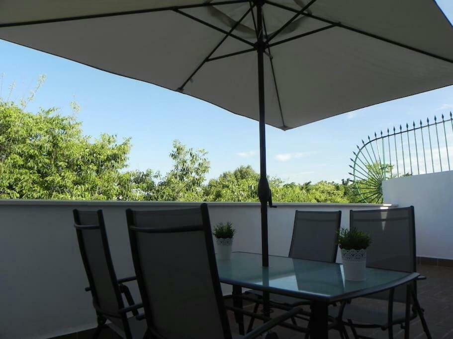 Atico Con Terraza En Alameda De Hercules Sevilla Eksteriør bilde